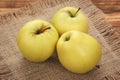 Natural ripe green yellow apples on burlap textile. Sweet fruits closeup view. Royalty Free Stock Photo