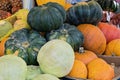 Natural and ripe pumpkin and cabbage harvest