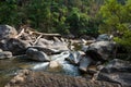 Natural river in the forest with rocks landscape view