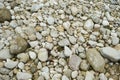 Natural River Stone Background and Texture Royalty Free Stock Photo