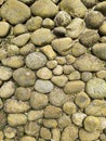 Natural River Stone Wall Texture With Moss and Organic Rock Pattern Royalty Free Stock Photo