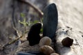 Natural river stones, natural still life.