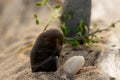 Natural river stones, natural still life.