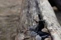 Natural river stones, natural still life.