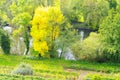 Trees with autumn foliage on the river Royalty Free Stock Photo