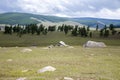 Natural Rock Garden