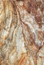 Natural rock pattern background