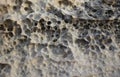 Natural rock texture of limestone with little holes. Royalty Free Stock Photo