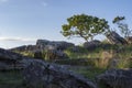 Natural rocky landscape with tall grass, tree and blue sky