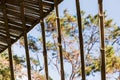 Natural roof of weave bamboo texture