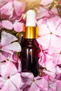 Natural rose essential oil in a glass bottle against a background of pink flowers. Royalty Free Stock Photo