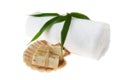 Natural Rosemary Soap And Seashell over White