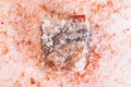 natural rough Halite mineral in pink Salt close up