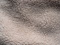 natural and rough wool fleece texture abstract background of the sheep Royalty Free Stock Photo