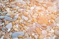 Natural round sea rock close up pattern Royalty Free Stock Photo