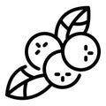 Natural rowan icon, outline style