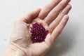 A natural ruby lies in the hand. Natural stones, ruby located in the female hand. The hand holds a ruby. Copy space for your text Royalty Free Stock Photo