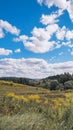 Natural Russian landscape in autumn. Flowering grasses  meadows  ravines  forest and beautiful white clouds. Royalty Free Stock Photo