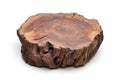 Natural Rustic Wooden Tree Stump Slice for Home DÃÂ©cor, Crafts, and Unique Table Centerpiece Royalty Free Stock Photo
