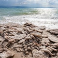 Natural salt on shore of Dead Sea in winter Royalty Free Stock Photo