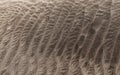 natural sand pattern created by wind Royalty Free Stock Photo