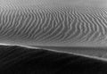 natural sand pattern created by wind Royalty Free Stock Photo