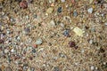 Natural sand texture close-up Royalty Free Stock Photo
