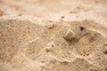 Natural sand texture close up as background Royalty Free Stock Photo