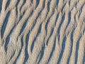 Natural sand texture. Sandy beach for background. Top view Royalty Free Stock Photo