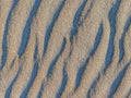 Natural sand texture. Sandy beach for background. Top view Royalty Free Stock Photo