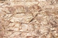 Natural sandstone texture abstract brown patterns on background Royalty Free Stock Photo