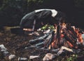 Natural sauna for spiritual ceremonys. Royalty Free Stock Photo