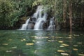 The tiny waterfall and the green water pond in the forest