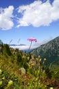 Natural scenery of beautiful mountains near Blacksea Coast, Rize, Turkey. Royalty Free Stock Photo