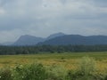 Natural scenery with clouds hills and crops.