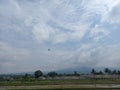 natural scenery during the day where there are mountains, clouds, blue sky, rice fields, houses, greenhouses and a bird Royalty Free Stock Photo