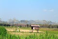 Natural view of the fields in the countryside