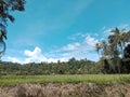 Natural scenery on Lawas Island, SijunjungÃ¯Â¿Â¼