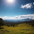 Natural scenery of the meadows on Mount Merbabu, located in Magelang, Indonesia. made with Generative AI