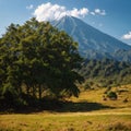 Natural scenery of the meadows on Mount Merbabu, located in Magelang, Indonesia. made with Generative AI