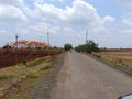 Natural scenery red flower tree beautiful road and nature Royalty Free Stock Photo