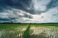 Natural scenic beautiful field and storm clouds and green field agricultural background Royalty Free Stock Photo