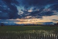 Natural scenic beautiful field sunset and storm clouds and green field agricultural background Royalty Free Stock Photo