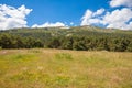 Scenic with Navafria mountain and forest from a meadow in Madrid