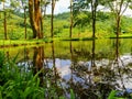 Natural scenic view of water reflection from pond