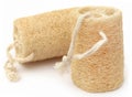 Natural scrubber of dried Ridge gourd Royalty Free Stock Photo