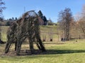 A natural sculpture of a tent-shaped bush next to the Bergweiher pond and in a protected area of Grindelriet above Lake ZÃÂ¼rich