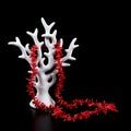 Natural sea red coral necklace on display stand white tree isolated over black background Royalty Free Stock Photo