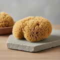 Sea sponge with a porous texture is placed on a rectangular stone Royalty Free Stock Photo