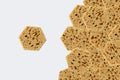 Natural sea sponges  washing dishes. White background Royalty Free Stock Photo